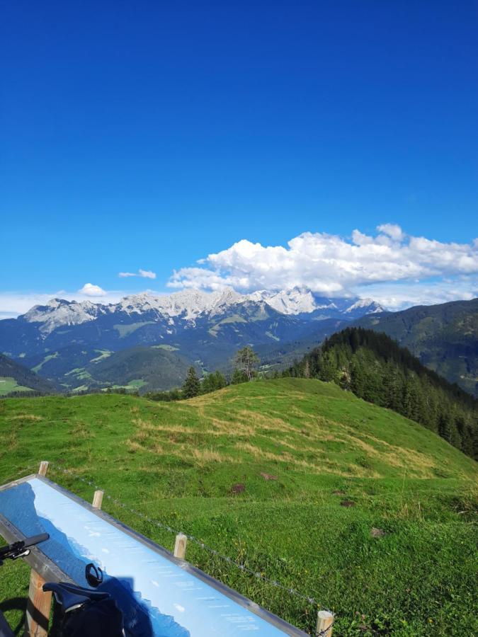 Landhaus Theresia Sankt Martin am Tennengebirge Ngoại thất bức ảnh