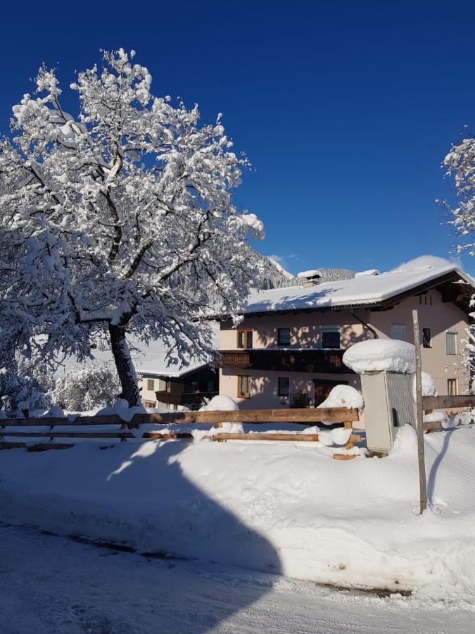 Landhaus Theresia Sankt Martin am Tennengebirge Ngoại thất bức ảnh